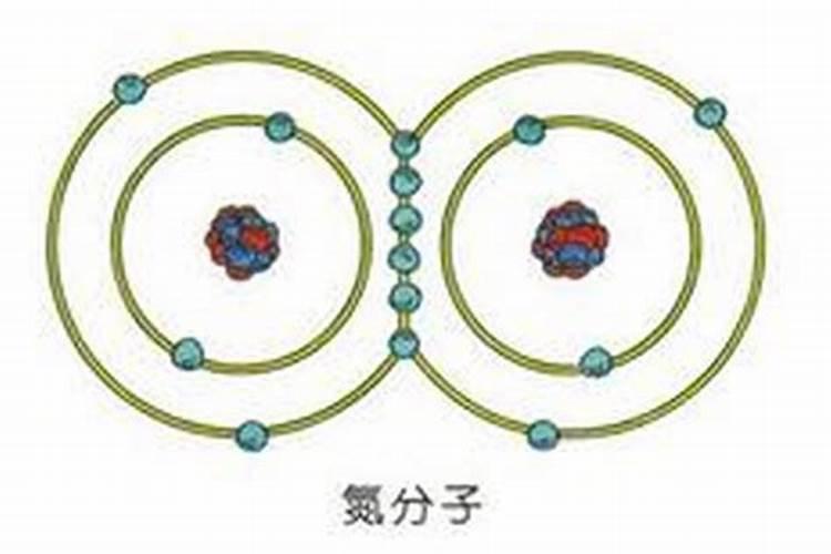 海藻鱼蛋白母液属于危险品吗