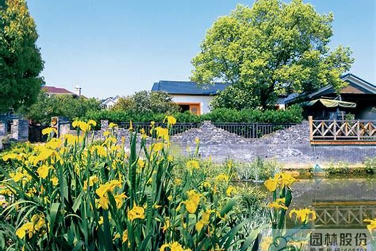 园林植物的施肥