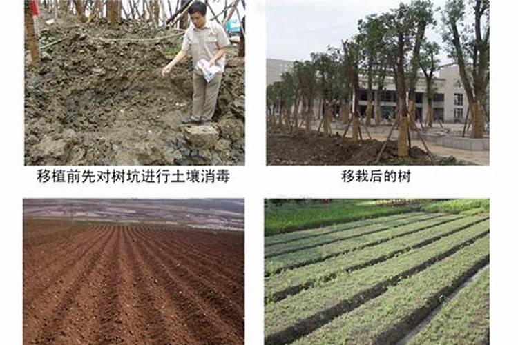 重茬土壤杀菌剂有哪些,土壤杀菌剂怎么正确使用