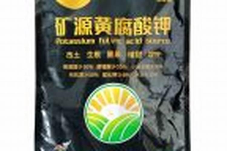 西瓜苗嫁接用什么方法比较好,对应的技术要点在哪