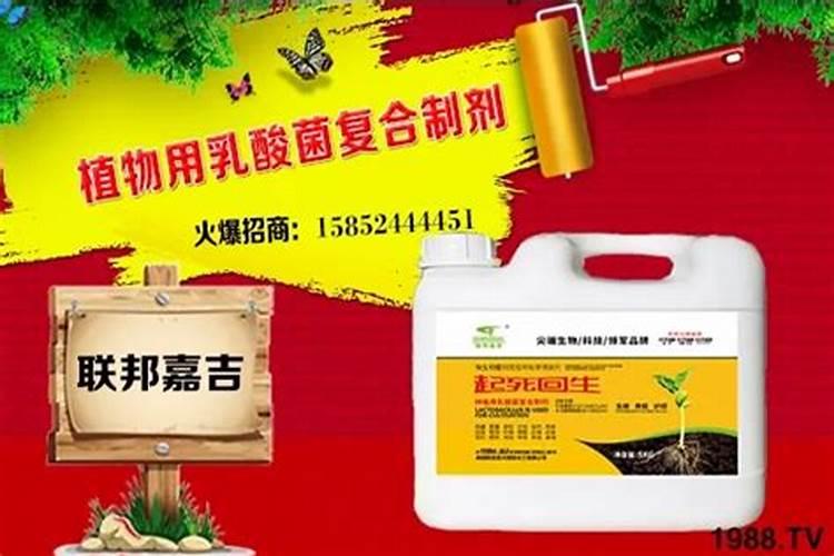 果树缺钙有哪些防治措施？