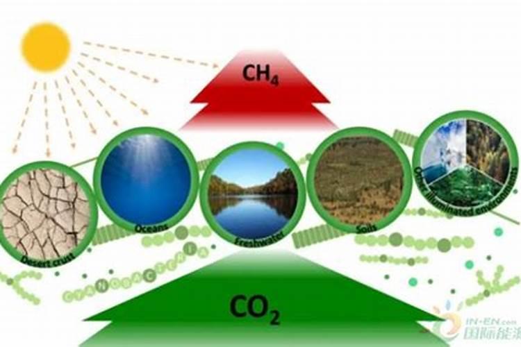 在甲烷、大理石、二氧化碳、水、尿素五种物质中,最常见的溶剂是...