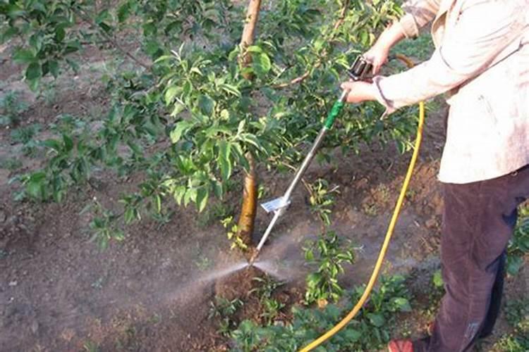 三个20的平衡水溶肥什么时候使用