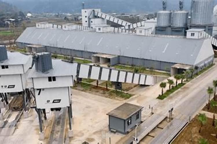 镁磷素在哪里可以买到呢