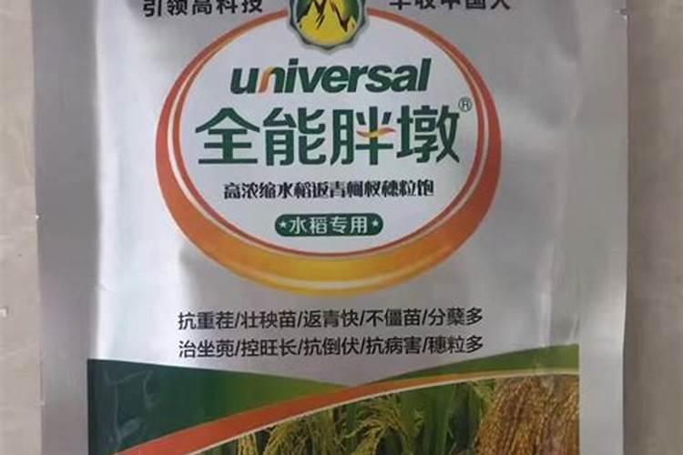 水稻施磷酸二氢钾叶面肥需要作水吗？打叶面肥排干水吗