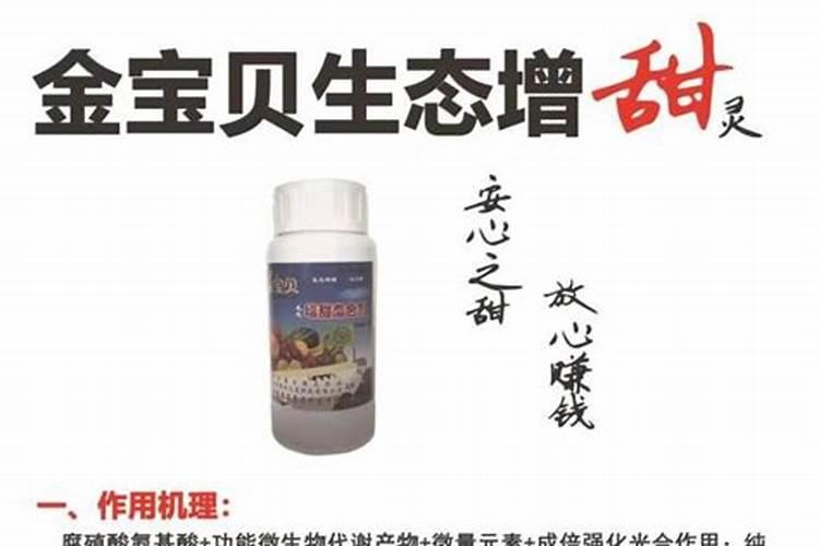 西红柿施什么肥最好