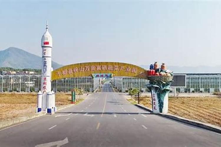 富硒叶面肥哪个厂家好