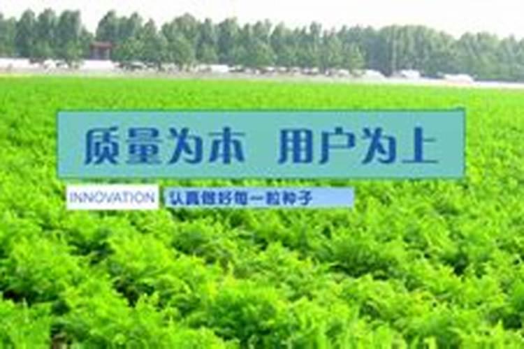 中国最好的肥料前十名