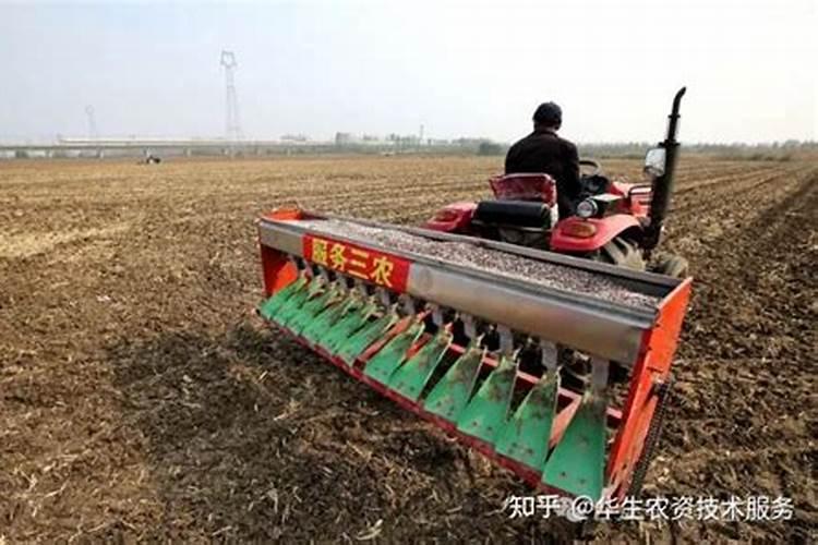 小麦打什么叶面肥高产