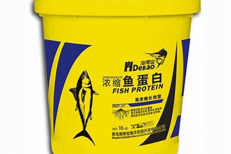 鱼蛋白的制作方法