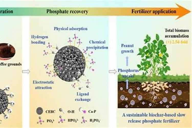 ...①看外观.氮肥、钾肥都是白色晶体;磷肥是灰白色