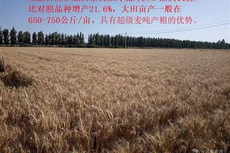 三种化肥的作用口诀