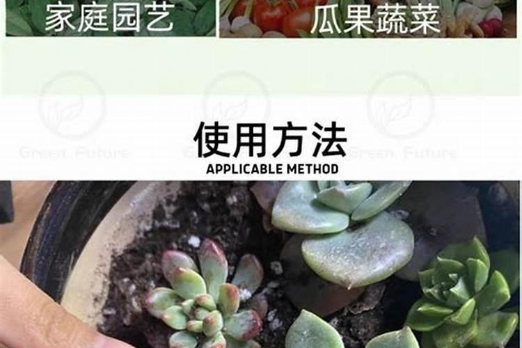 磷肥的正确使用方法