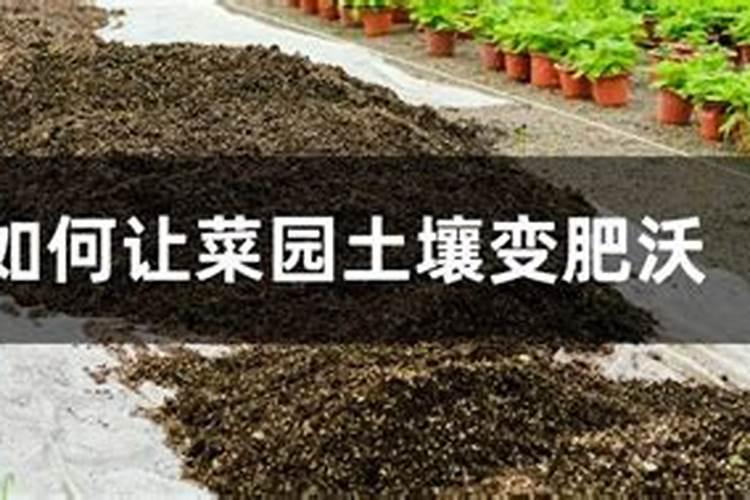 种菜如何肥土