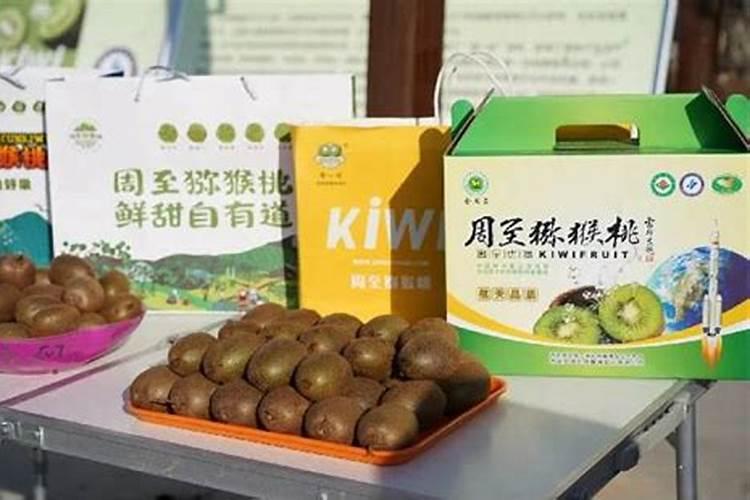 猕猴桃适合什么地方种植
