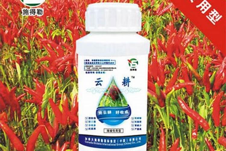 花生喷施硼肥最佳时间 使用注意事项有哪些
