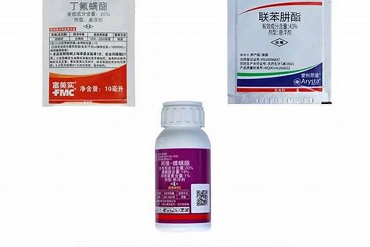 红蜘蛛危害后叶片后怎么恢复植物？