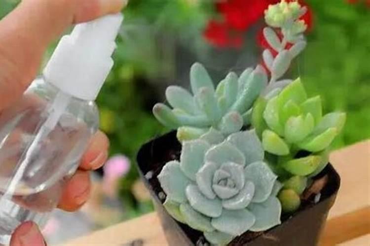 氮肥化肥怎么浇花
