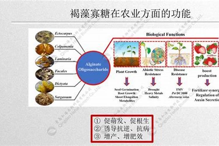糖的提取有多少种方法
