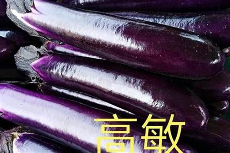 茄子如何巧施肥才能促高产