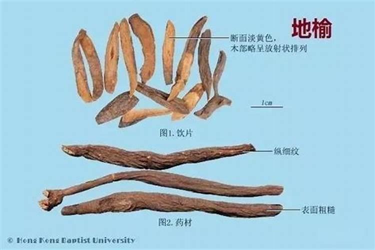 白糖与复合肥 尿素钙镁磷能浇花吗？