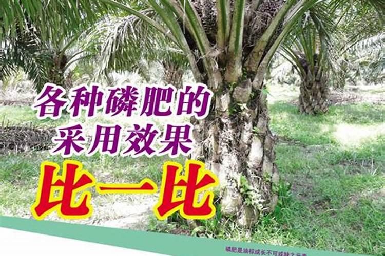 化肥全面降价,氮磷肥已降1000元一吨,影响价格的主要因素有哪些？