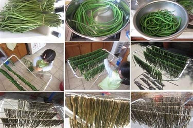 种豆角用什么肥料最好 种豆角用磷酸二氢钾肥可以吗