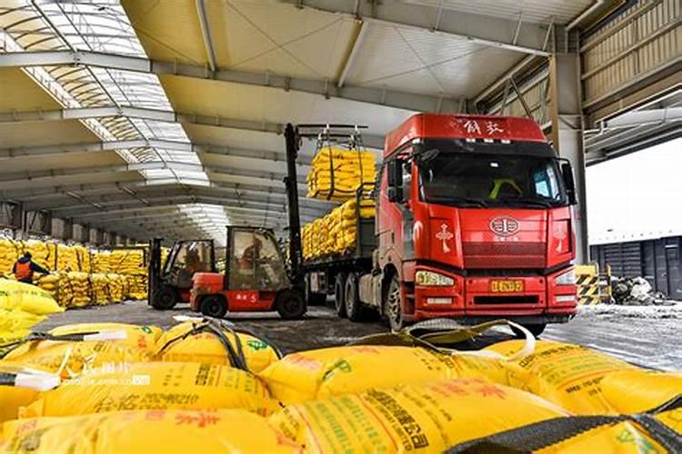 长春花施什么肥最好