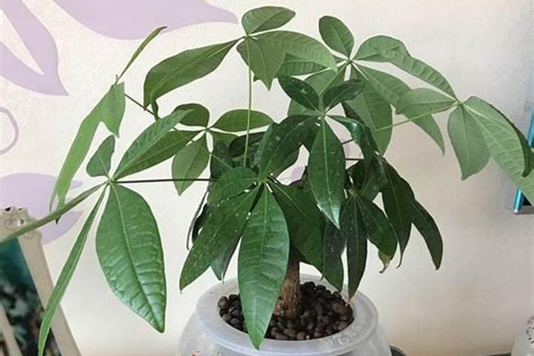 用松土造句(大约30个左右)