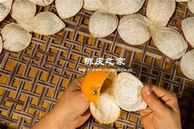 桔子树上开裂怎么治疗？
