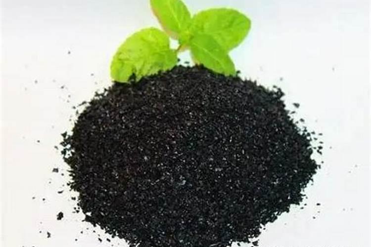 新疆双龙腐植酸有限公司获得过哪些荣誉？
