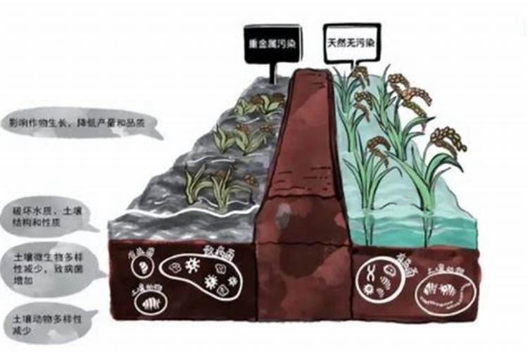 用肥过量使用的危害,氮肥过量的防止办法
