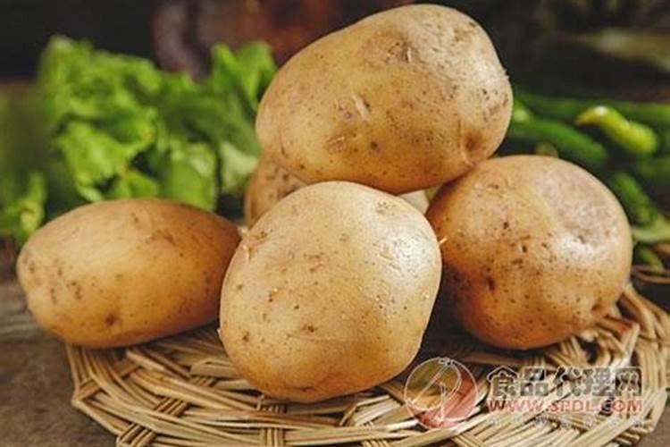 一帆风顺施肥用什么肥料好 浇四种肥料开花快