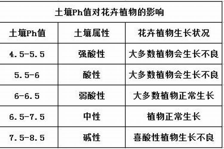 磷酸二氢钾能不能打豌豆,有哪些需要注意的呢？