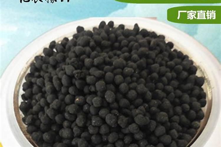 甘肃正禾生物有机肥有限责任公司怎么样？