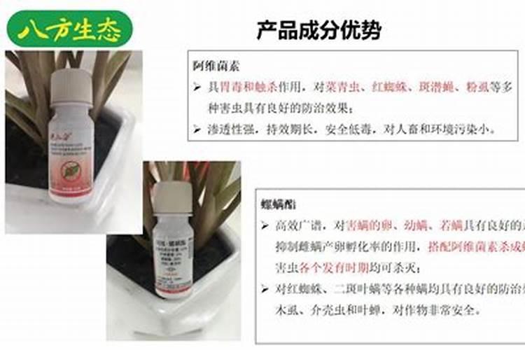 夏季天天下阵雨,需要每天都给月季打杀菌药吗？