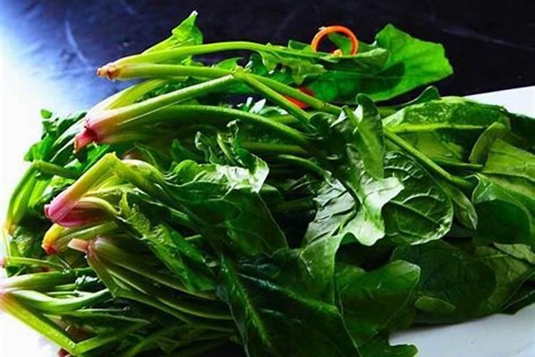 要让菠菜快速生长该用什么肥料