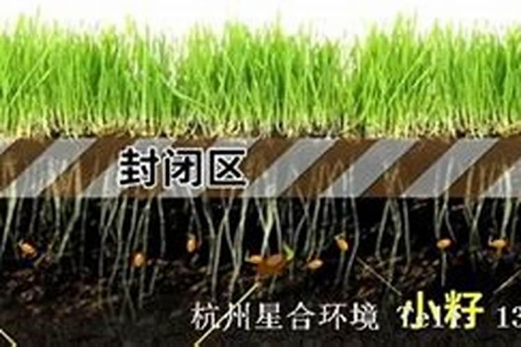 冲施肥的使用方法