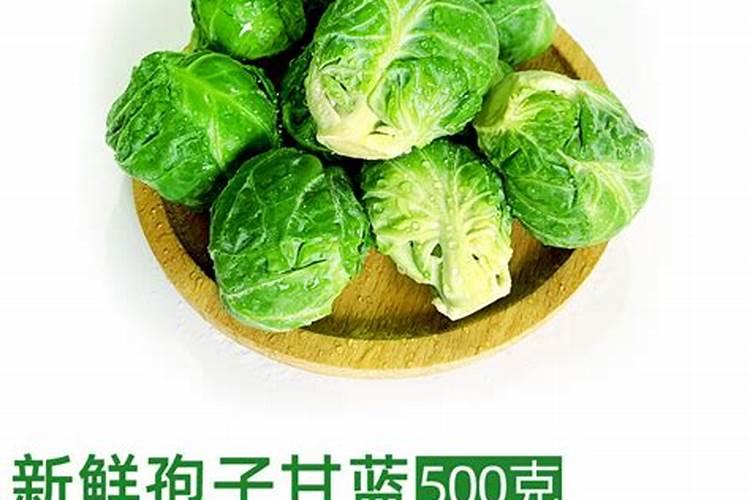 种植甘蓝不结球是哪些原因造成的？如何防治甘蓝不结球现象？
