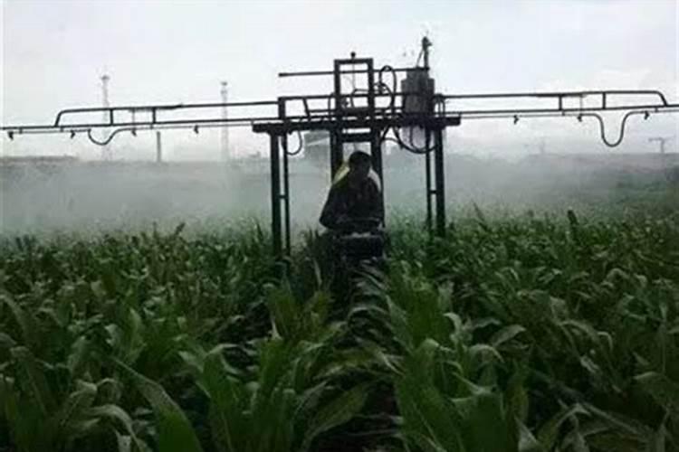 果树怎样补钙