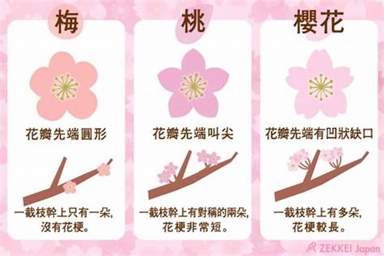 钾盐和钠盐的区别有哪些 钾盐和钾肥的区别在哪