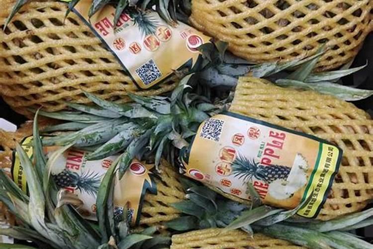 菠萝施什么肥最好