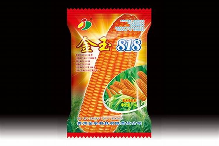 肥料十大名牌玉米专用肥