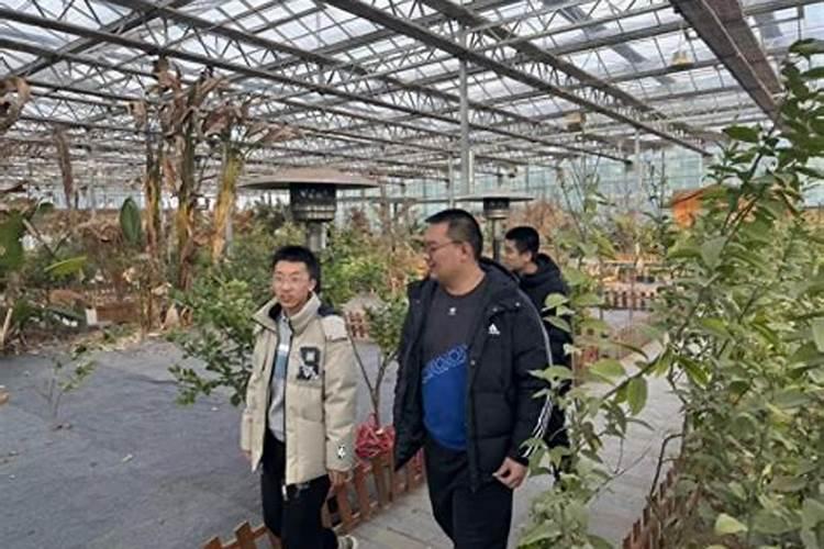 水溶肥配方谁知道
