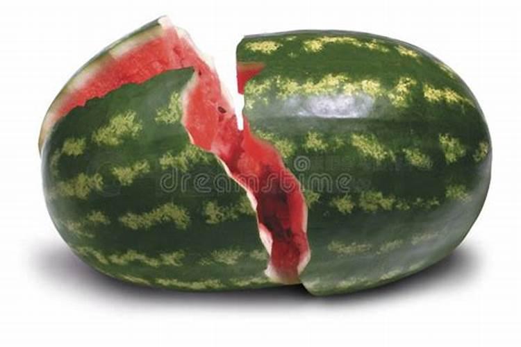 烂西瓜怎么处理才吉利