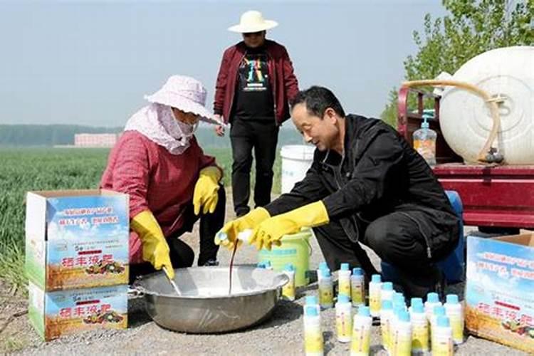 磷酸二氢钾叶面肥喷施的用量