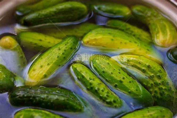 大棚冬季种植黄瓜,要使用叶面肥吗？喷施叶面肥都要注意什么？