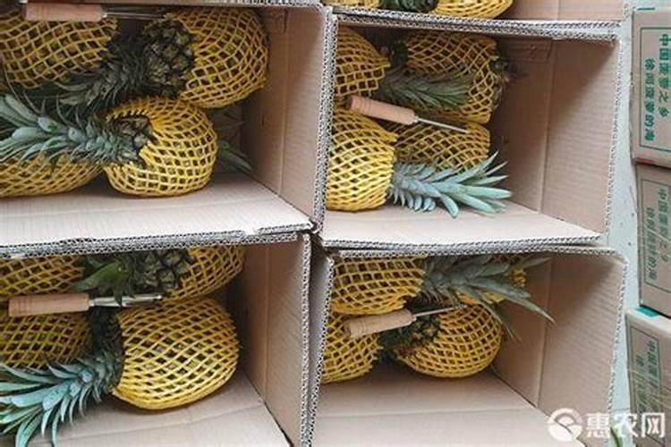 转基因技术有哪些应用