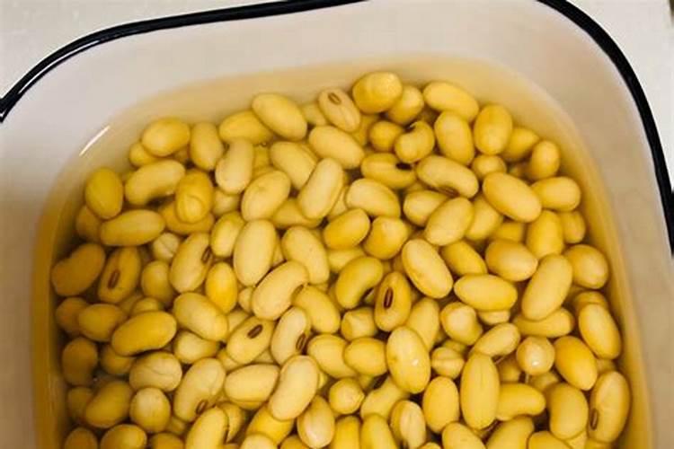 怎样用黄豆做肥料