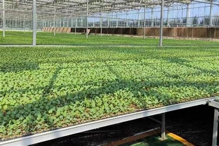 保护环境的资料
